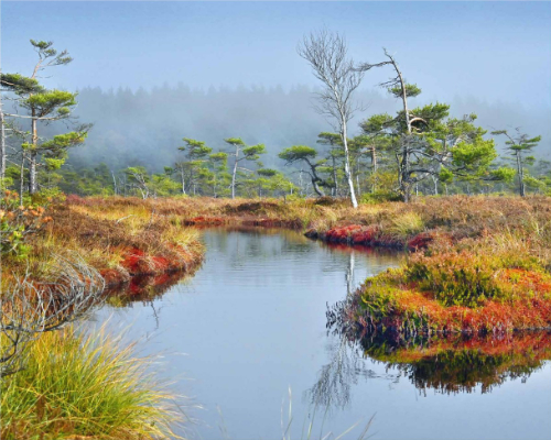 Rhön Kalender 2014